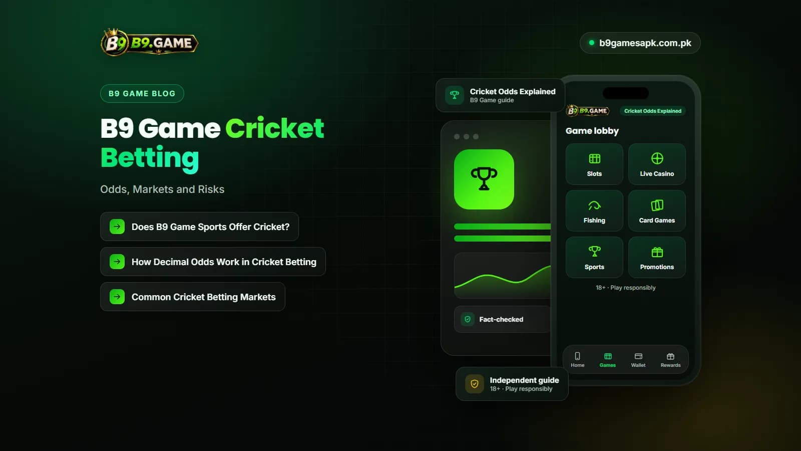 Cricket bat and ball with decimal odds for the B9 Game cricket betting guide