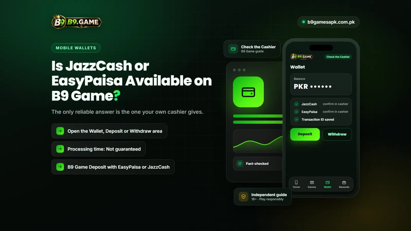 Confirming JazzCash or EasyPaisa availability in the B9 Game cashier